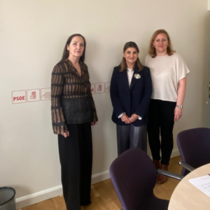Reunión PSOE Senado 2025