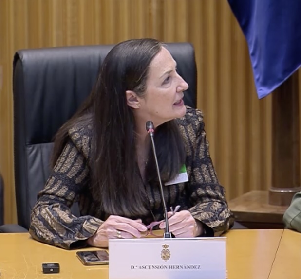 Ascensión Hernández, presidenta de Grupo 0, en el Congreso de los Diputados